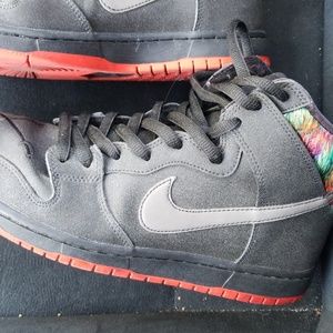 Nike Gasparilla High Dunks